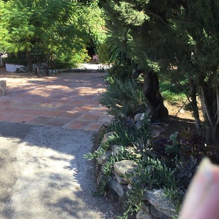 Finca El Rio, The Studio Self Catering With Pool And Hydrotherapy Jacuzzi Set In Beautiful Gardens, Guaro Buitenkant foto