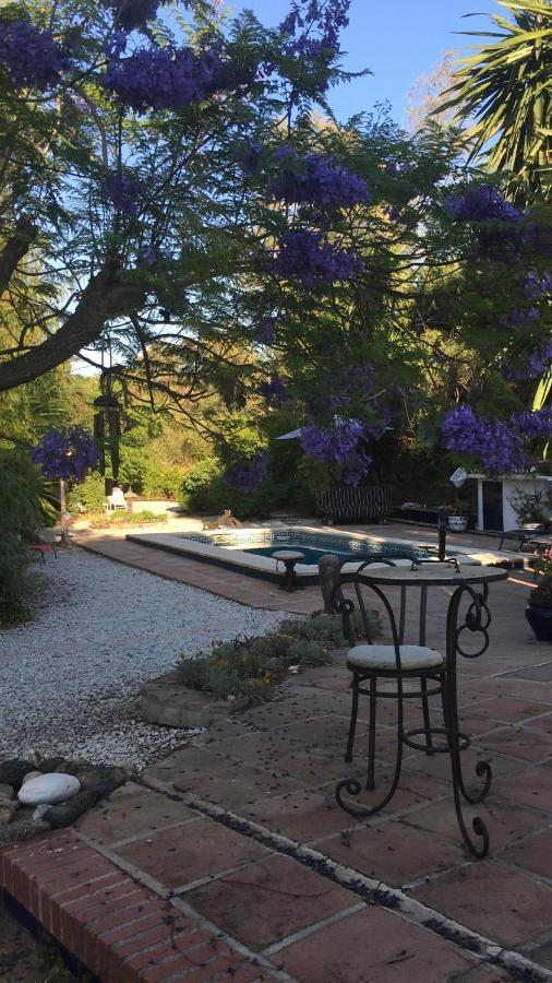 Finca El Rio, The Studio Self Catering With Pool And Hydrotherapy Jacuzzi Set In Beautiful Gardens, Guaro Buitenkant foto
