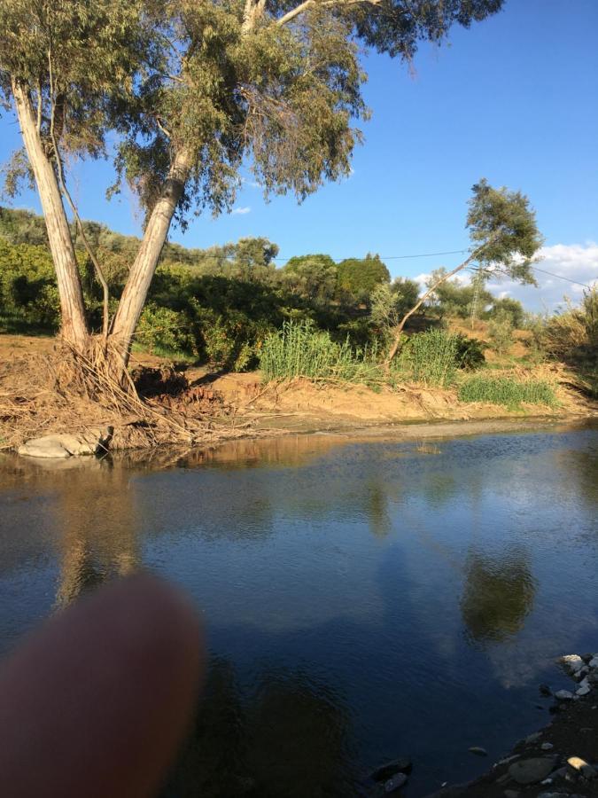 Finca El Rio, The Studio Self Catering With Pool And Hydrotherapy Jacuzzi Set In Beautiful Gardens, Guaro Buitenkant foto