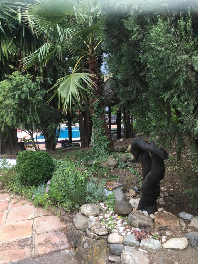 Finca El Rio, The Studio Self Catering With Pool And Hydrotherapy Jacuzzi Set In Beautiful Gardens, Guaro Buitenkant foto